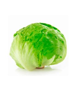 cugat.cl lechuga-escarola-und