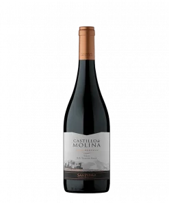 Vino Castillo De Molina Tinto Gran Reserva Syrah 13.5°, 750cc. Vino Castillo De Molina Tinto Gran Reserva Syrah 13.5°, 750cc.