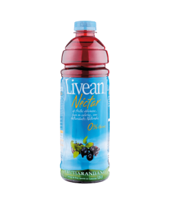 cugat.cl nectar-de-arandano-0-azucar-livean-1-5-lt