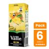 cugat.cl pack-6-un-nectar-de-pina-andina-del-valle