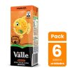 Pack 6 Un Néctar De Naranja Andina Del Valle