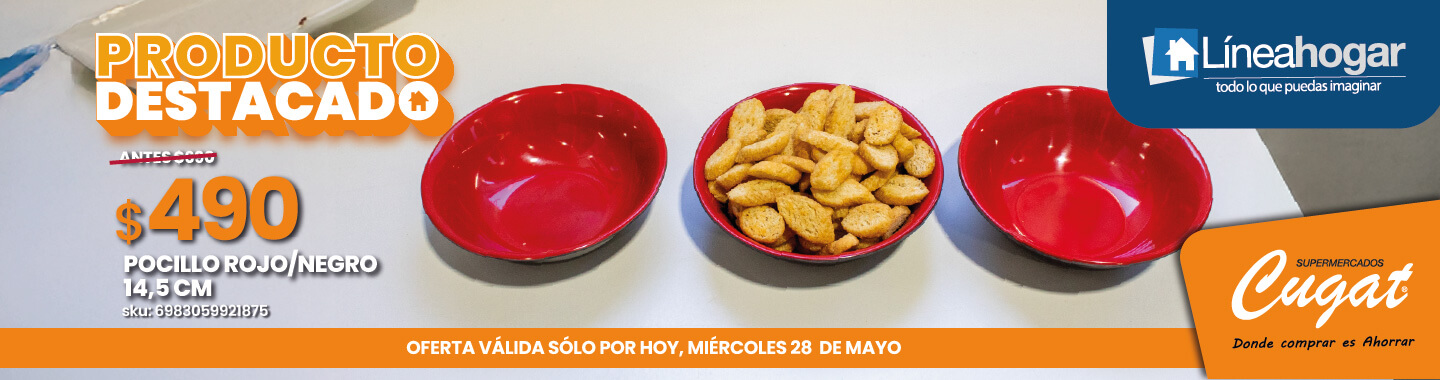 Inicio