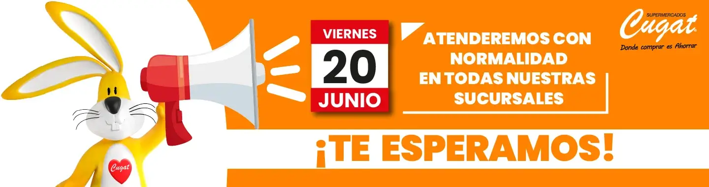 Inicio