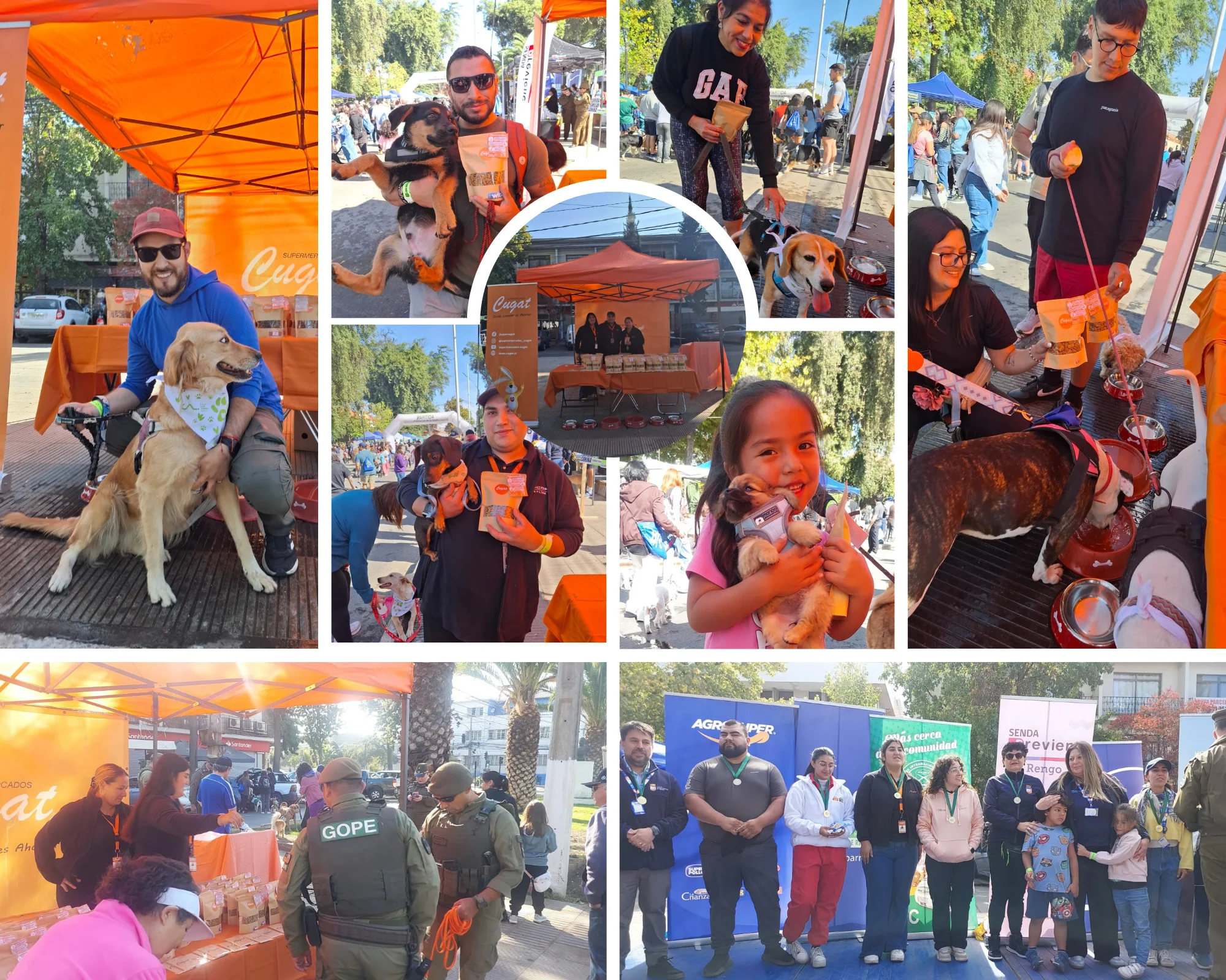 Éxito rotundo: Más de 1.000 asistentes en la tradicional Caminata Canina de Rengo con importante respaldo de Cugat