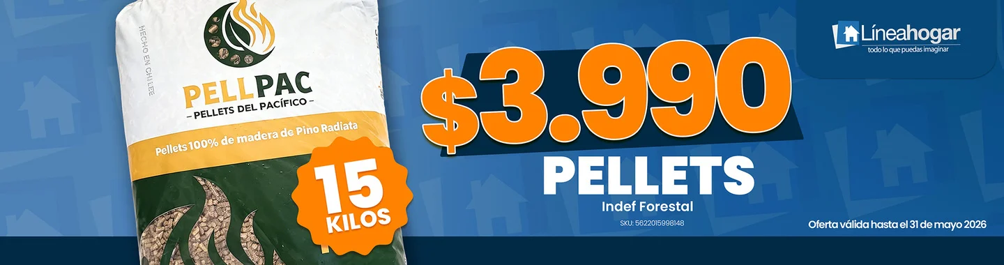 Inicio