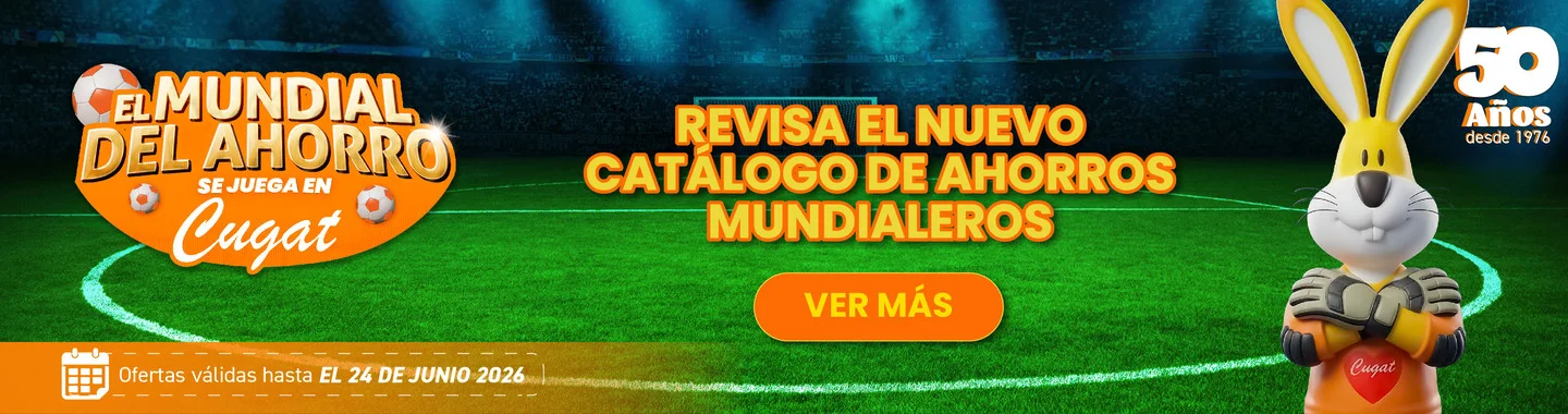 Inicio
