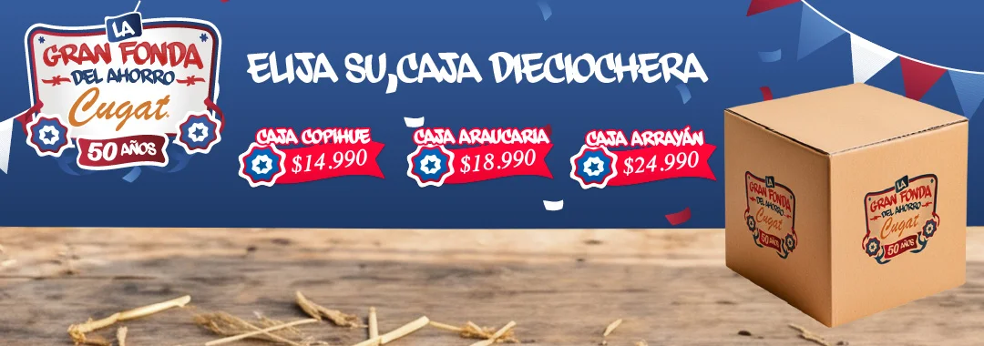 Inicio
